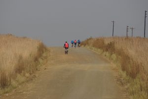 DSC03387