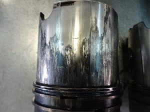 DSC08155
